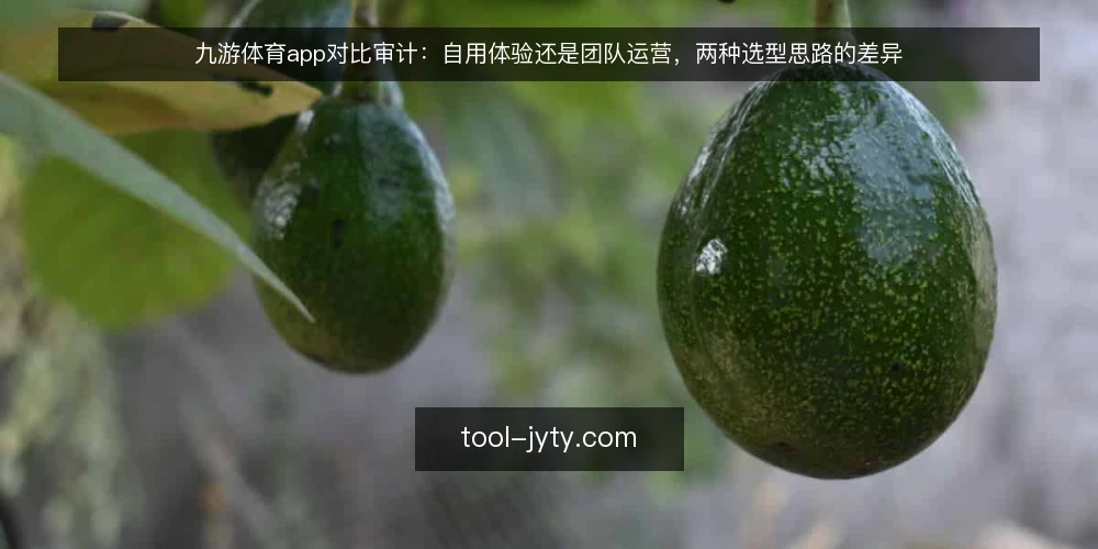 九游体育app对比审计:自用体验还是团队运营,两种选型思路的差异 — 为什么现在需要审计九游体育app选型思路 配图