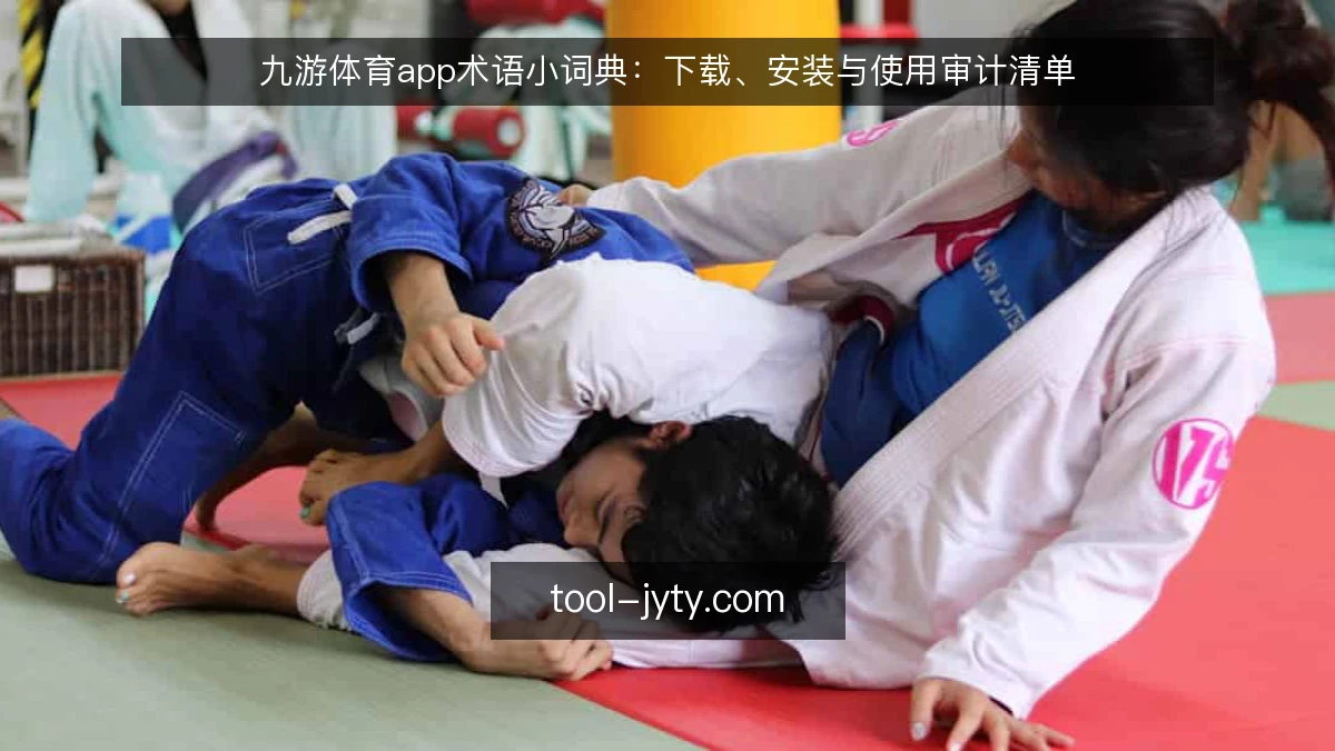 九游体育app术语小词典:下载、安装与使用审计清单