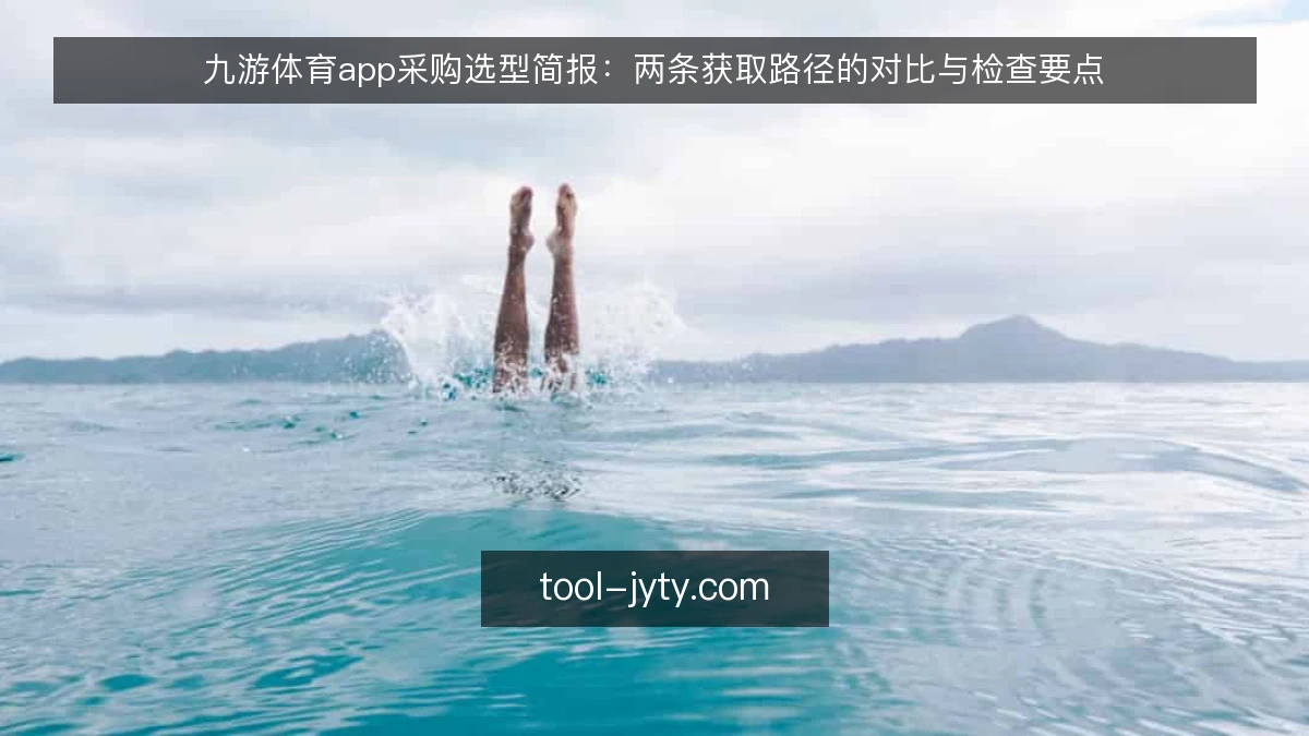 九游体育app采购选型简报:两条获取路径的对比与检查要点